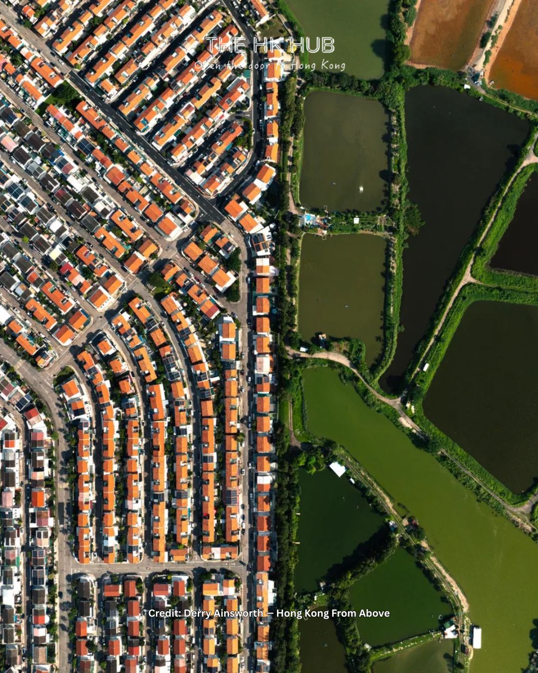 Rows of Hong Kong houses beside green ponds from above (Derry Ainsworth)