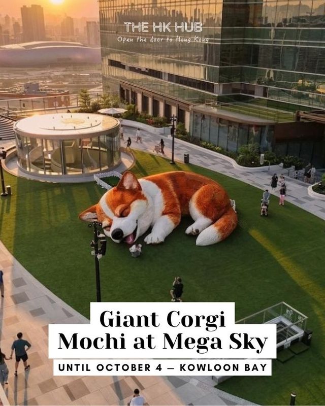 Giant Corgi Mochi at Mega Sky