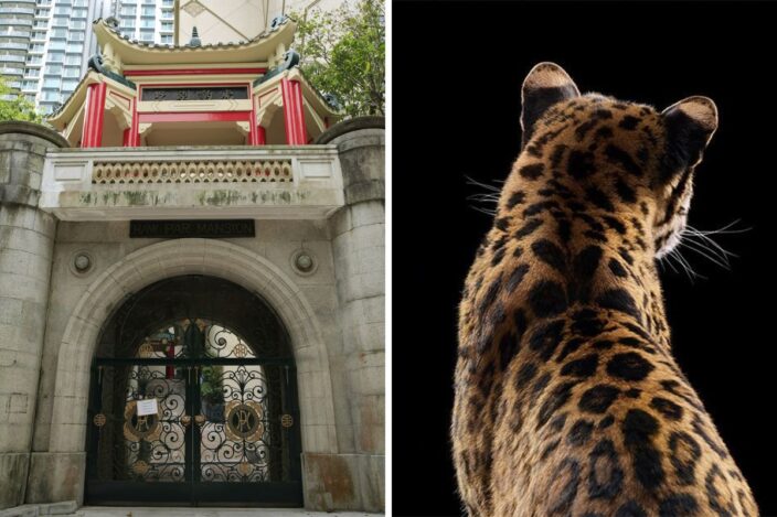 Cartier Exhibition at Villa Haw Par: Dates, Registration And What We Know into the wild haw par hong kong cartier