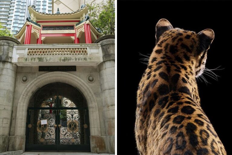 Cartier Exhibition at Villa Haw Par: Dates, Registration And What We Know into the wild haw par hong kong cartier